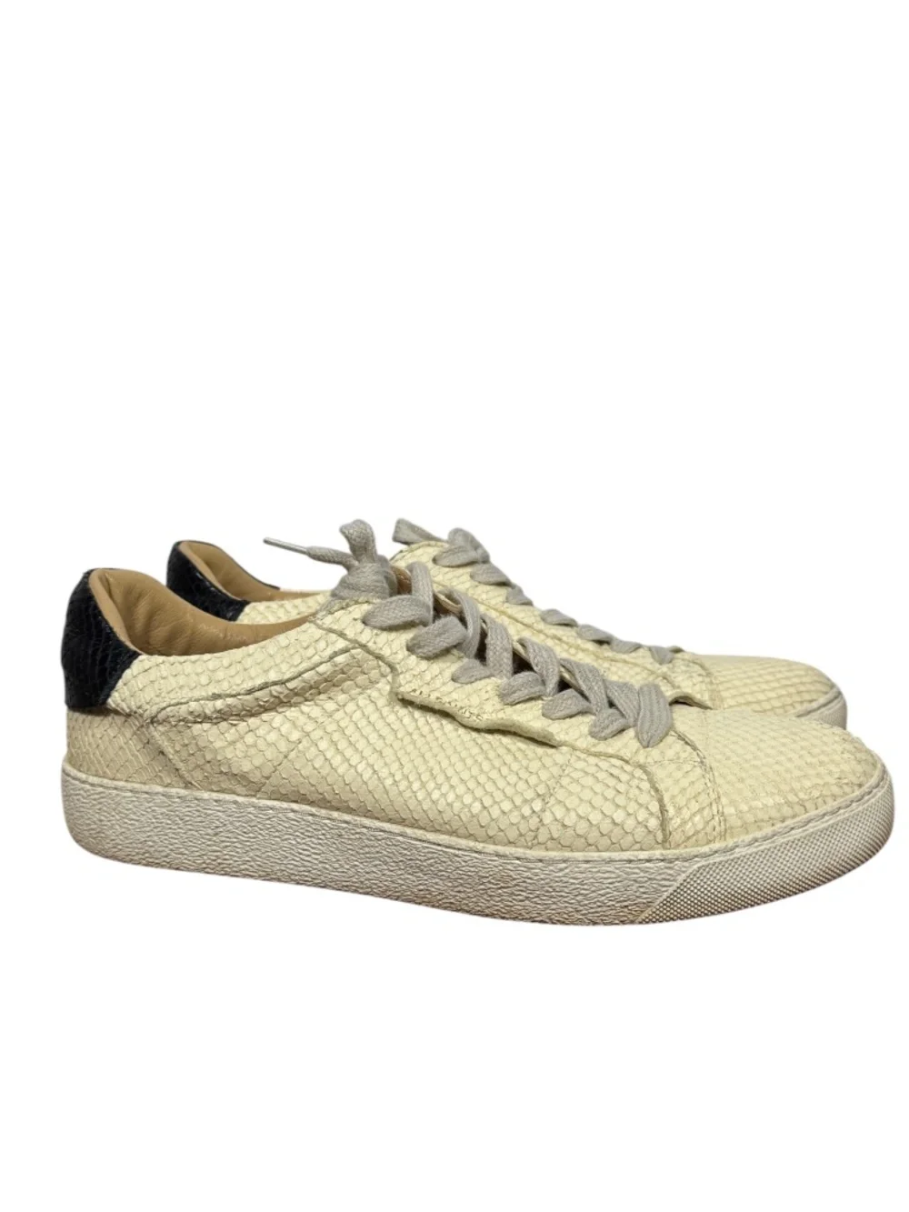 AllSaints Womens Snake‎ Print Leather Low Top Sneakers Cream Black Sz EU 39/8.5